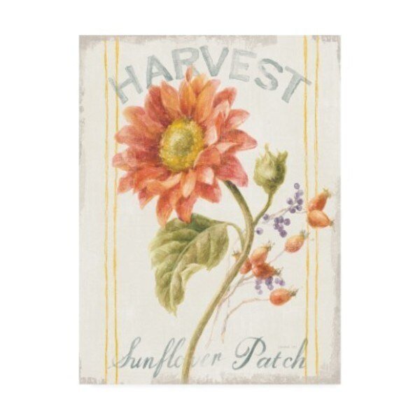Danhui Nai 'Floursack Autumn II' Canvas Art, 14x19, Trademark Fine Art, Mfr#: WAP11380-C1419GG